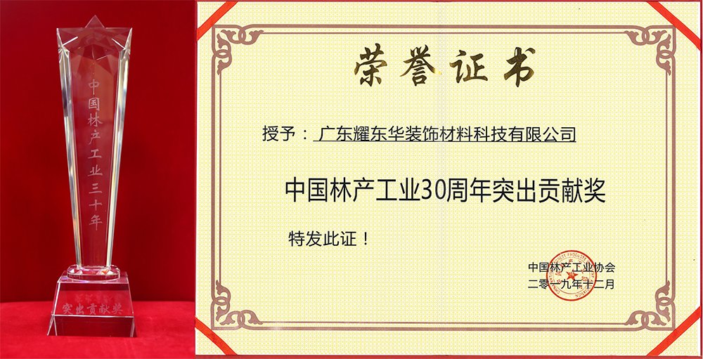 1576481030282716.jpg 突出貢獻(xiàn)獎(jiǎng)1.jpg