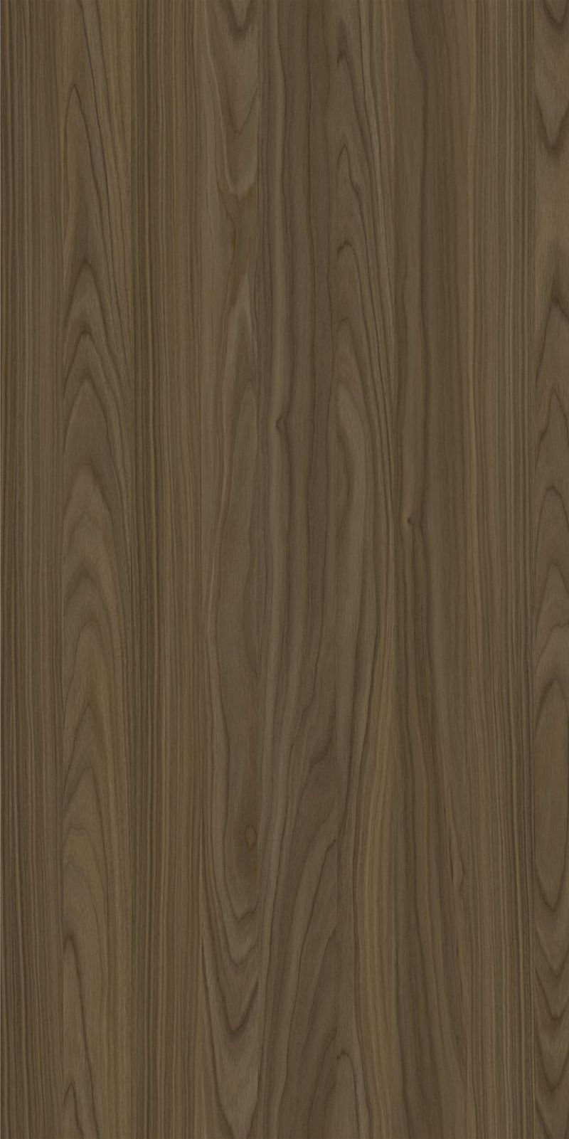 YDHTB1050 安科納胡桃