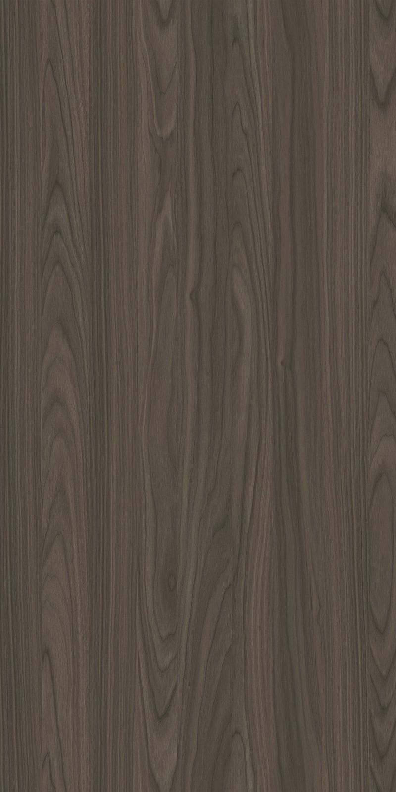 YDHTB1050 安科納胡桃