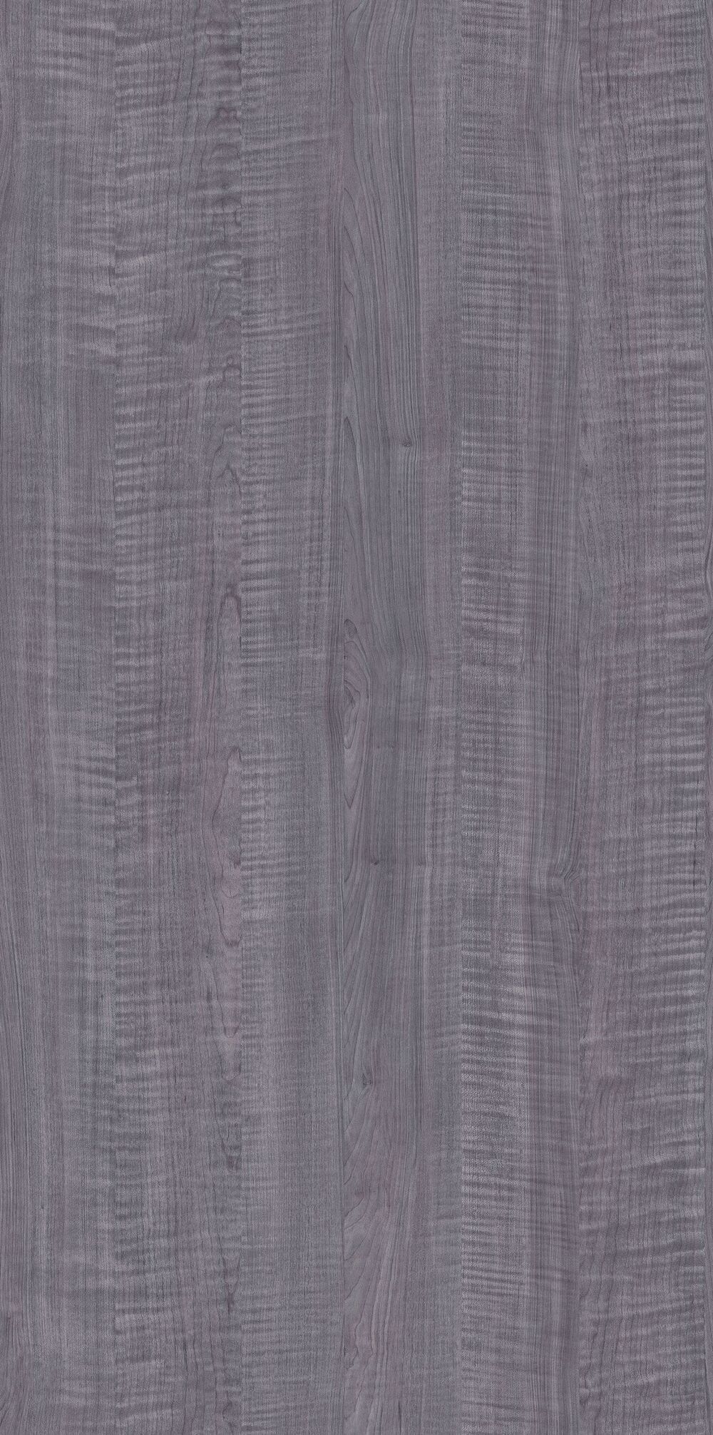 YDHTB1151 溫哥華楓影