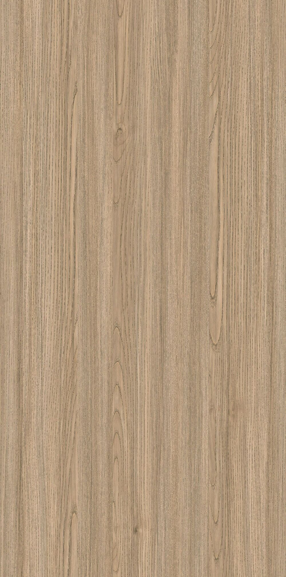 YDHTB1131 克里特橄欖木