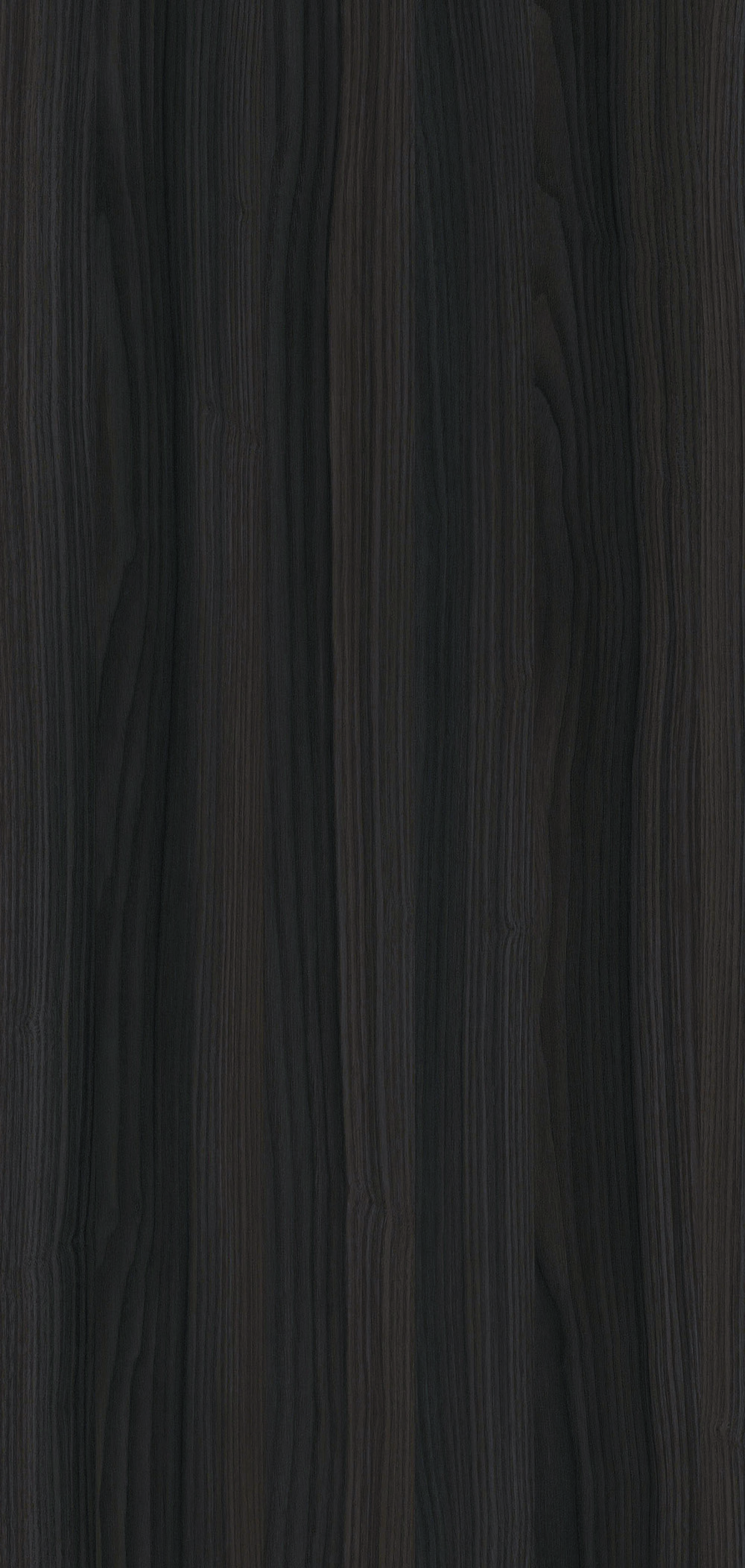 YDH402  阿爾巴橡木