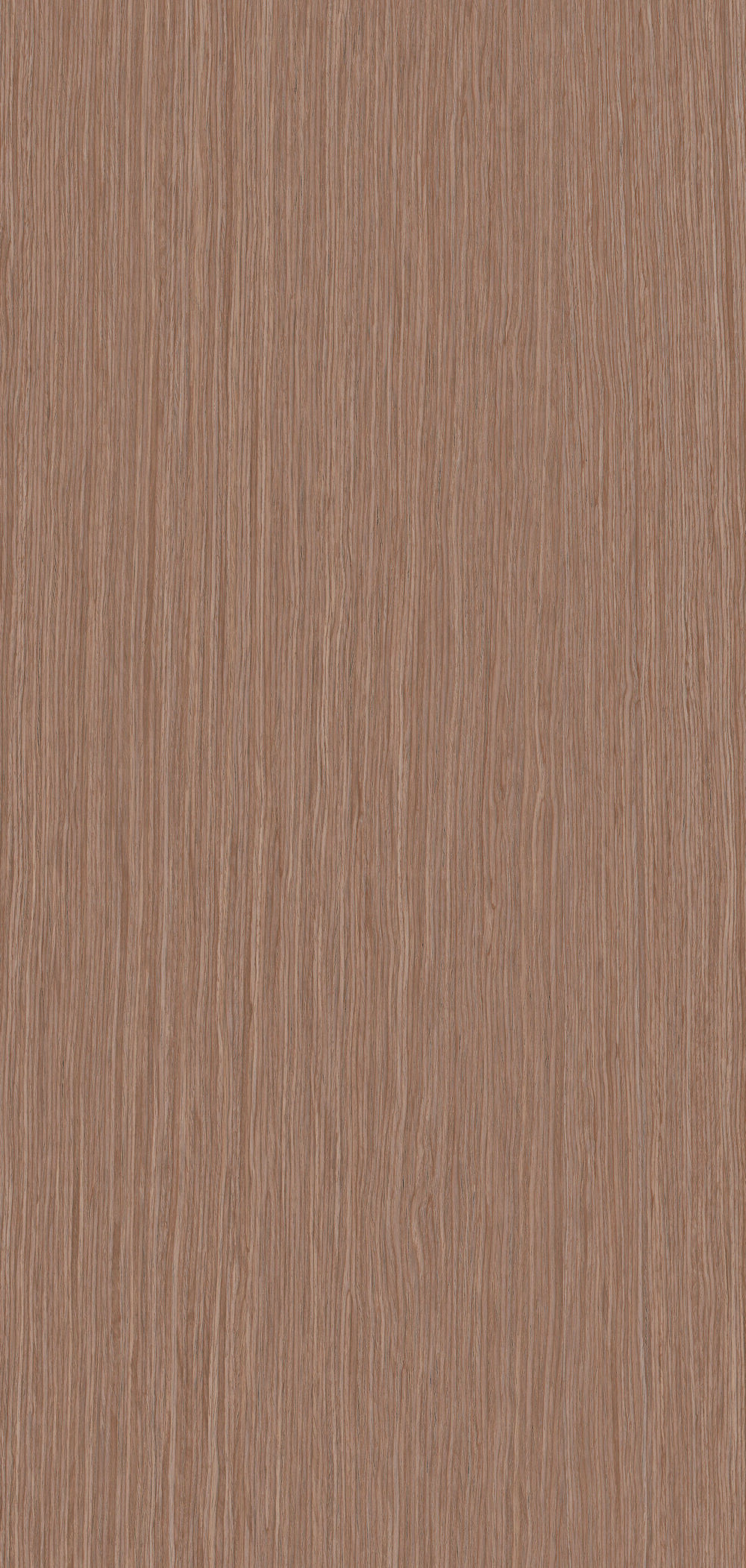 YDH405  康沃爾橡木