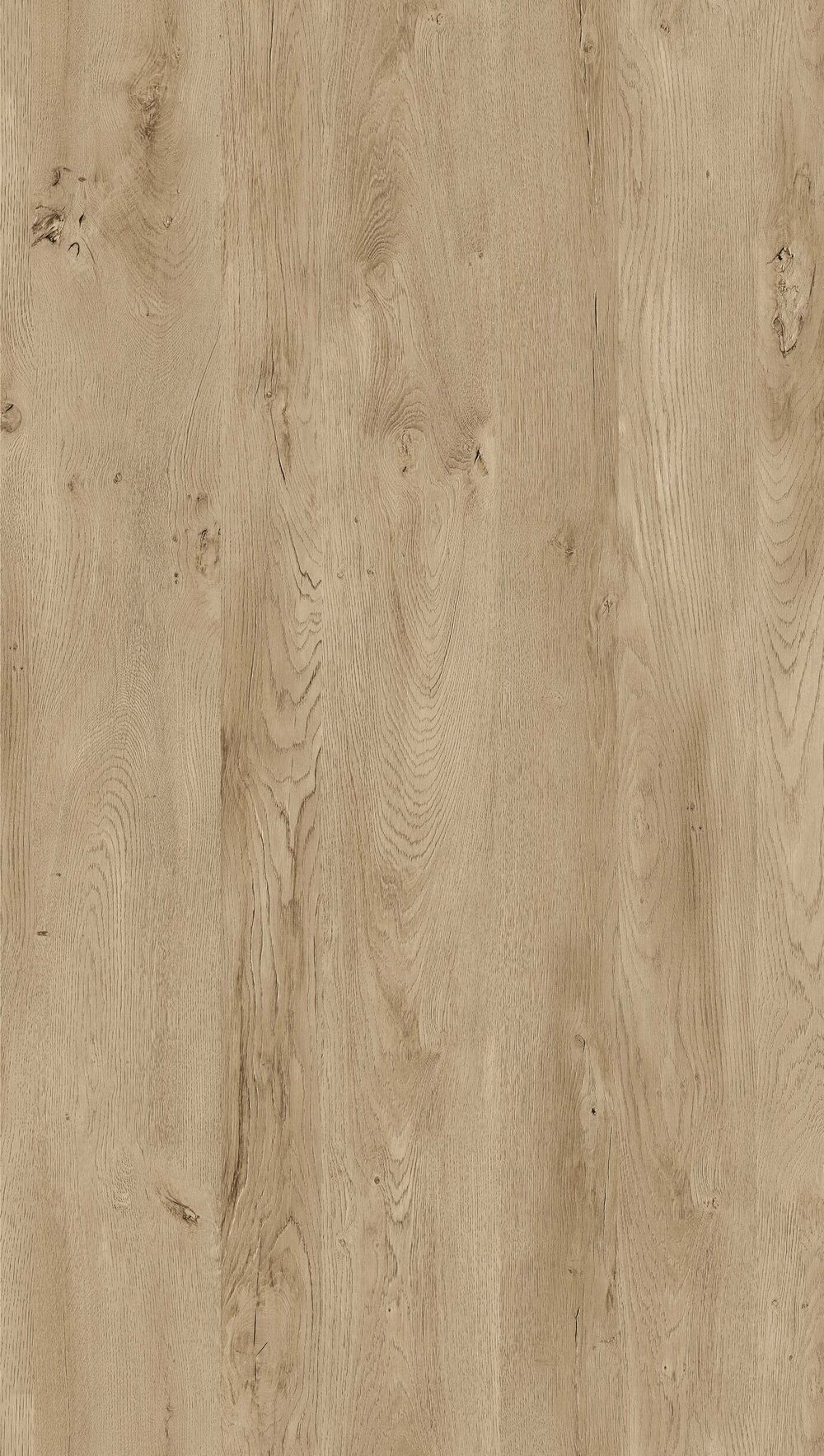 YDH344  千語橡木