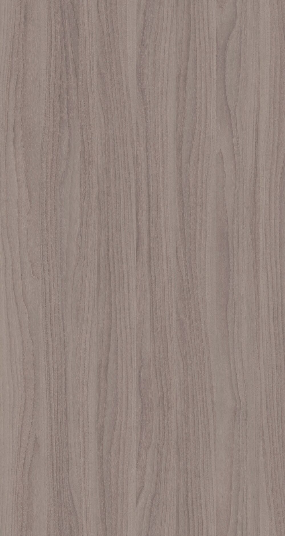 YDHTB1112 波特蘭胡桃