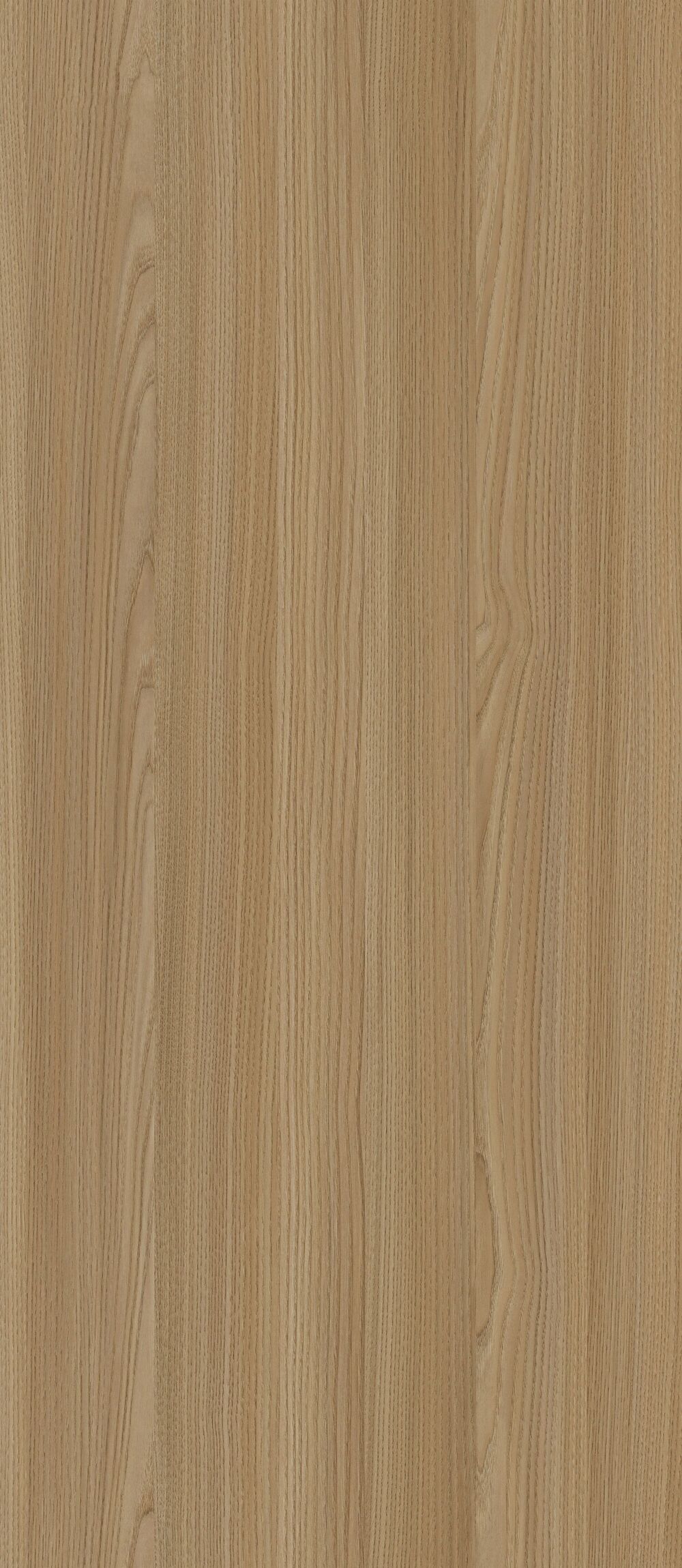 YDHTB1211 拉普蘭榆木