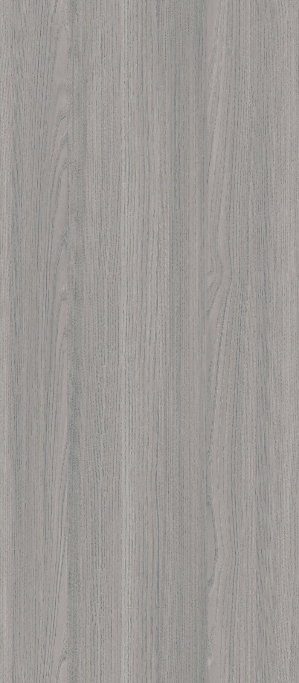 YDHTB1211 拉普蘭榆木