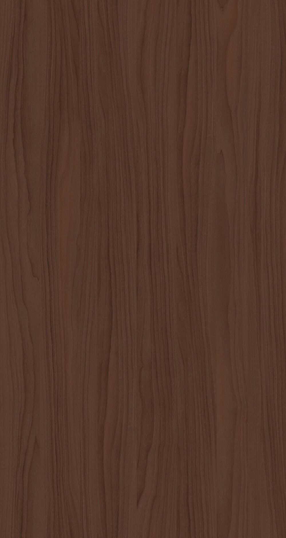 YDHTB1112 波特蘭胡桃