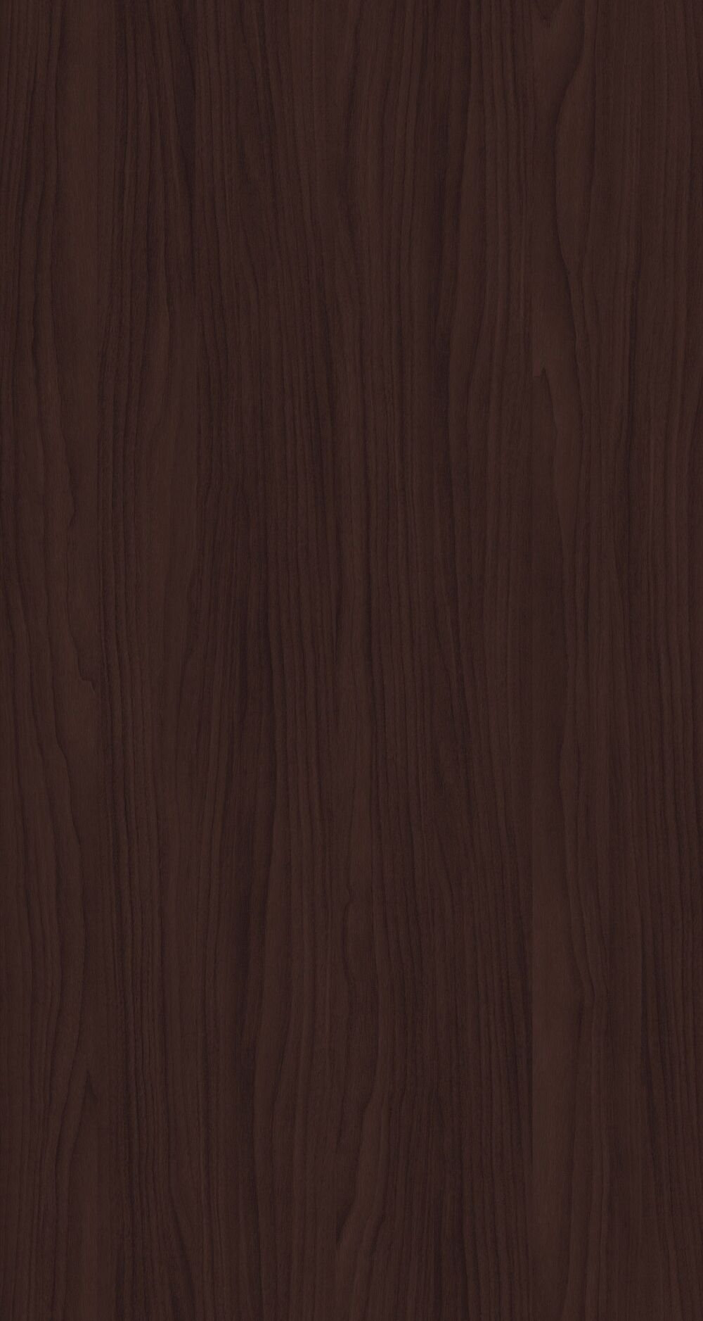 YDHTB1112 波特蘭胡桃