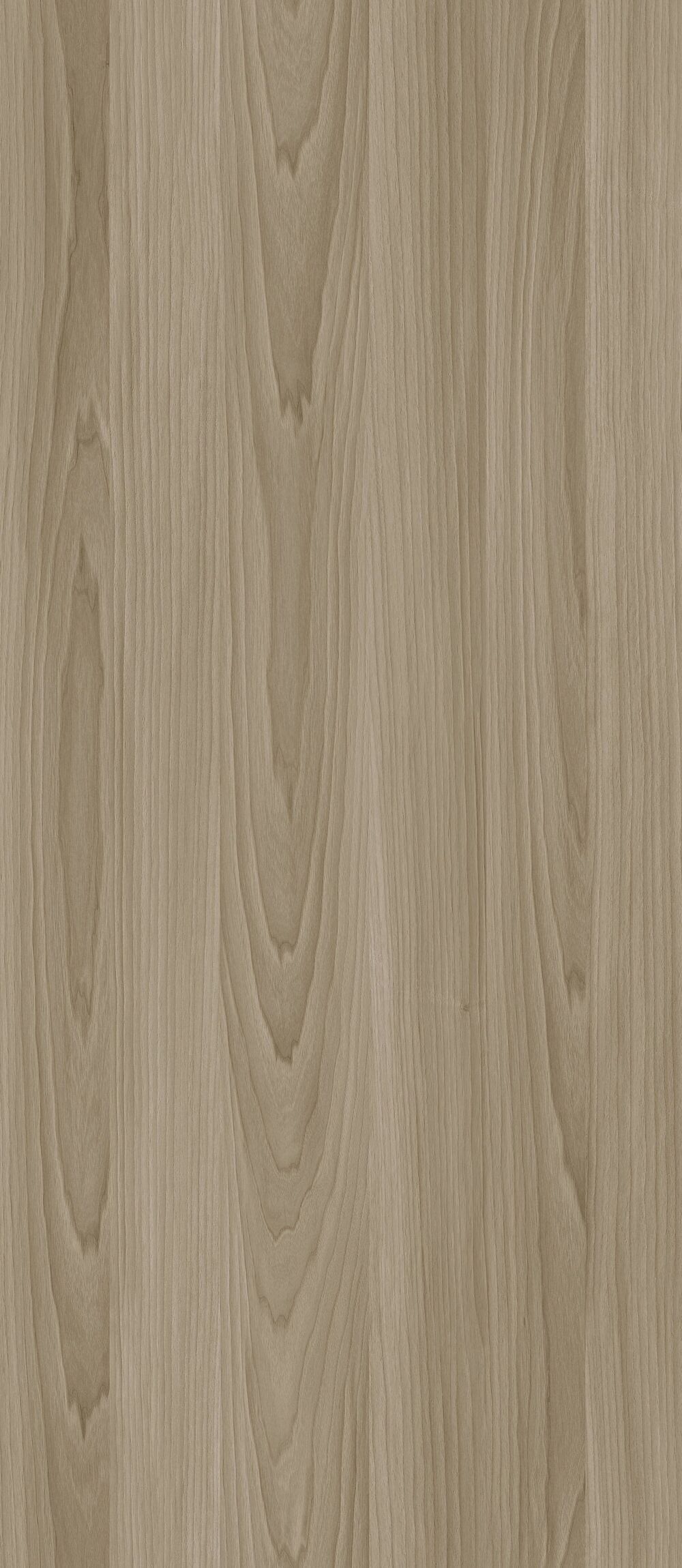 YDHTB1222 拉齊奧胡桃