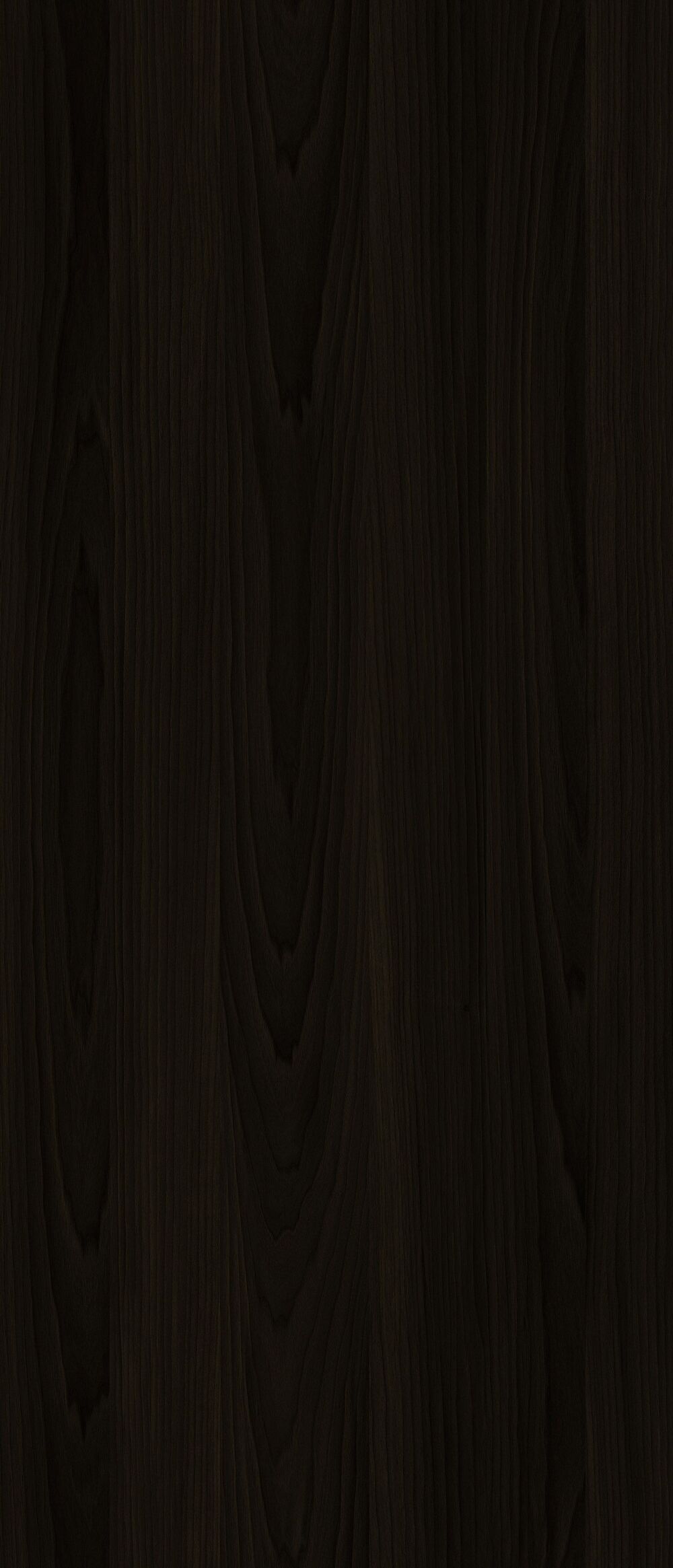 YDHTB1222 拉齊奧胡桃