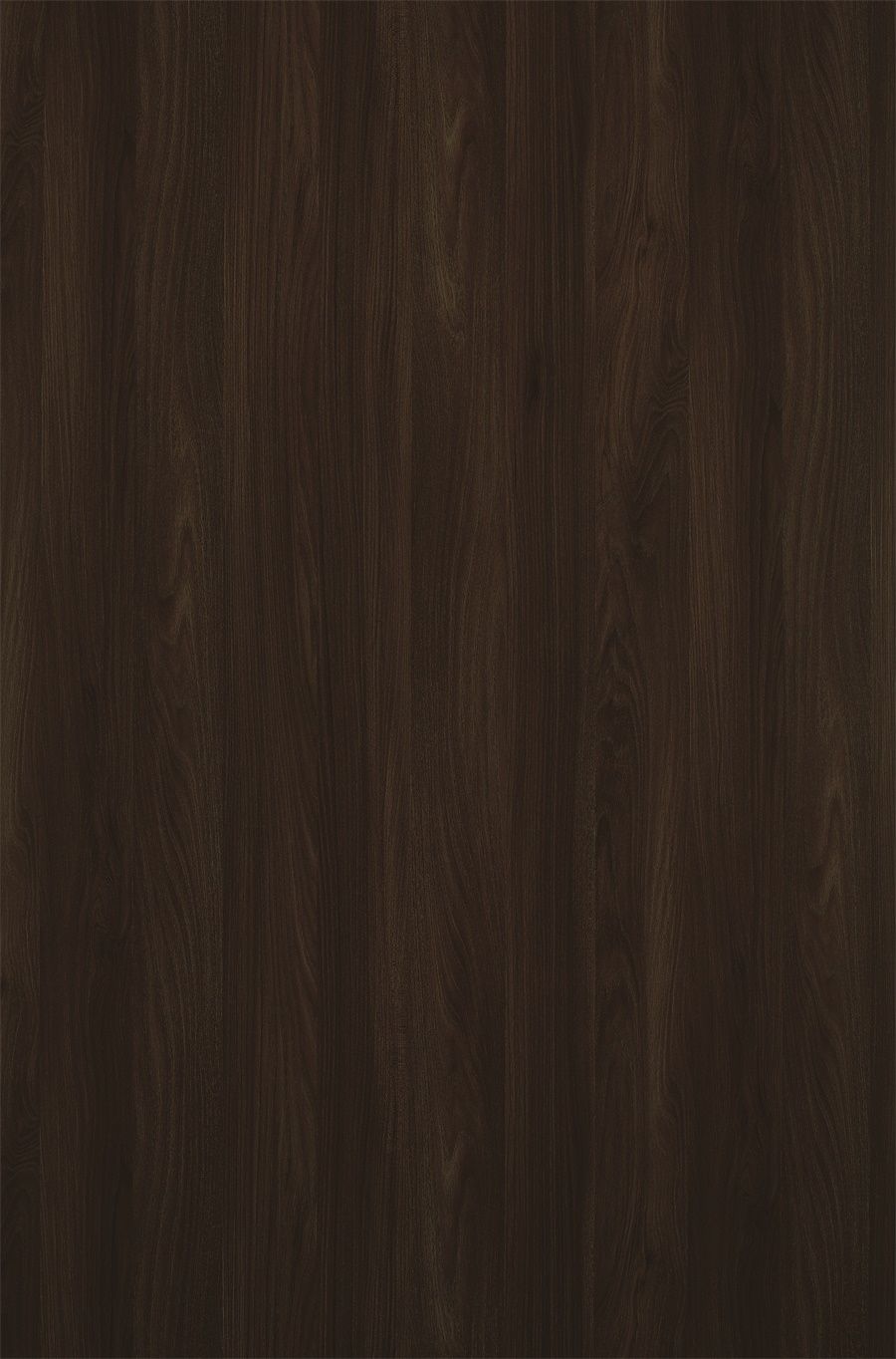 YDHTB904 陌蘭棕胡