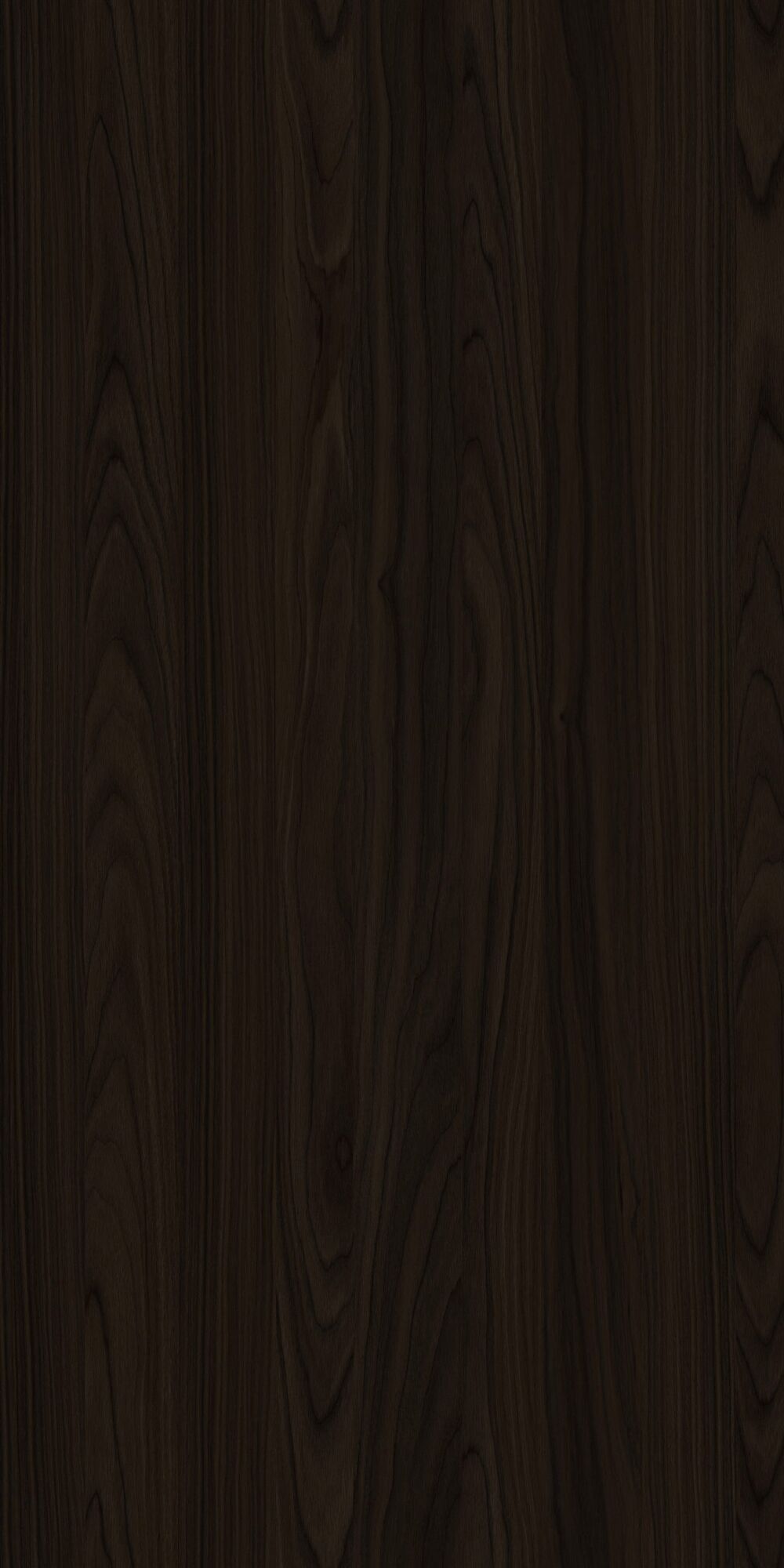 YDHTB1052 安科納胡桃