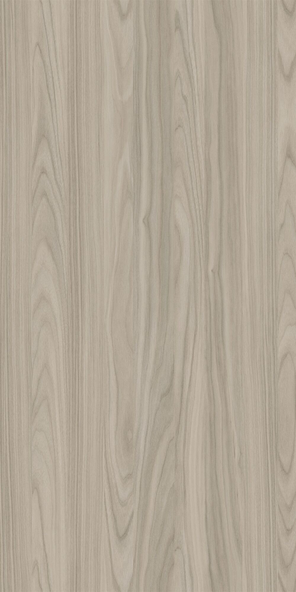 YDHTB1053 安科納胡桃 