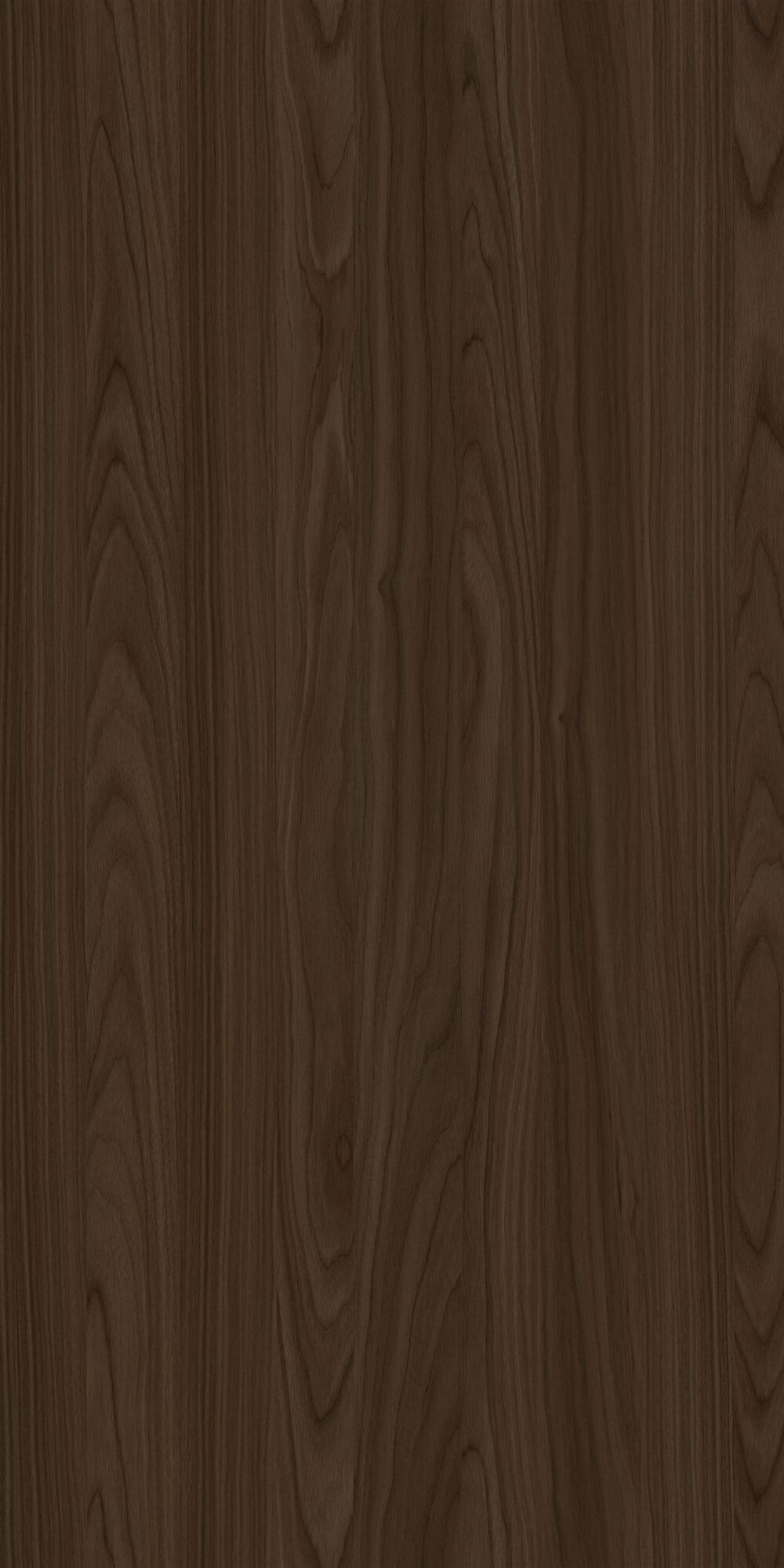 YDHTB1055 安科納胡桃