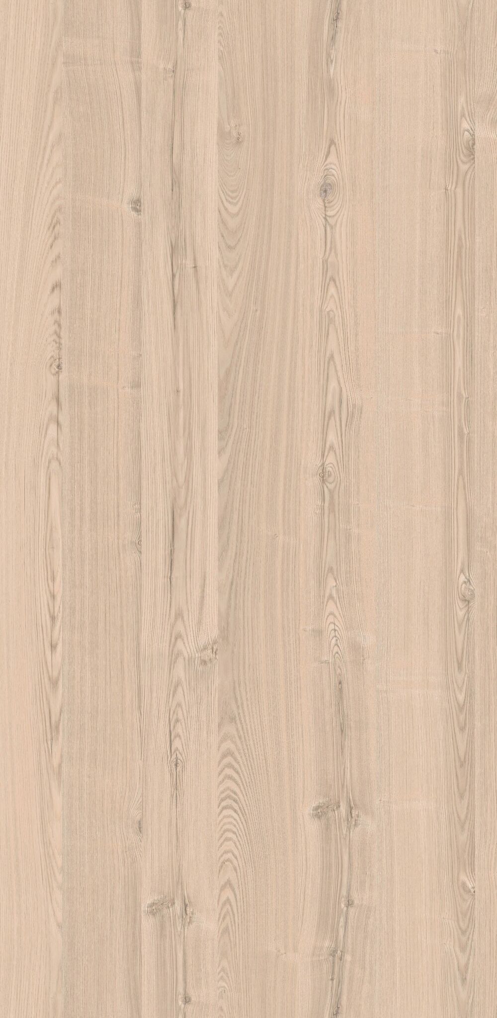 YDHTB1091 安第斯曲柳