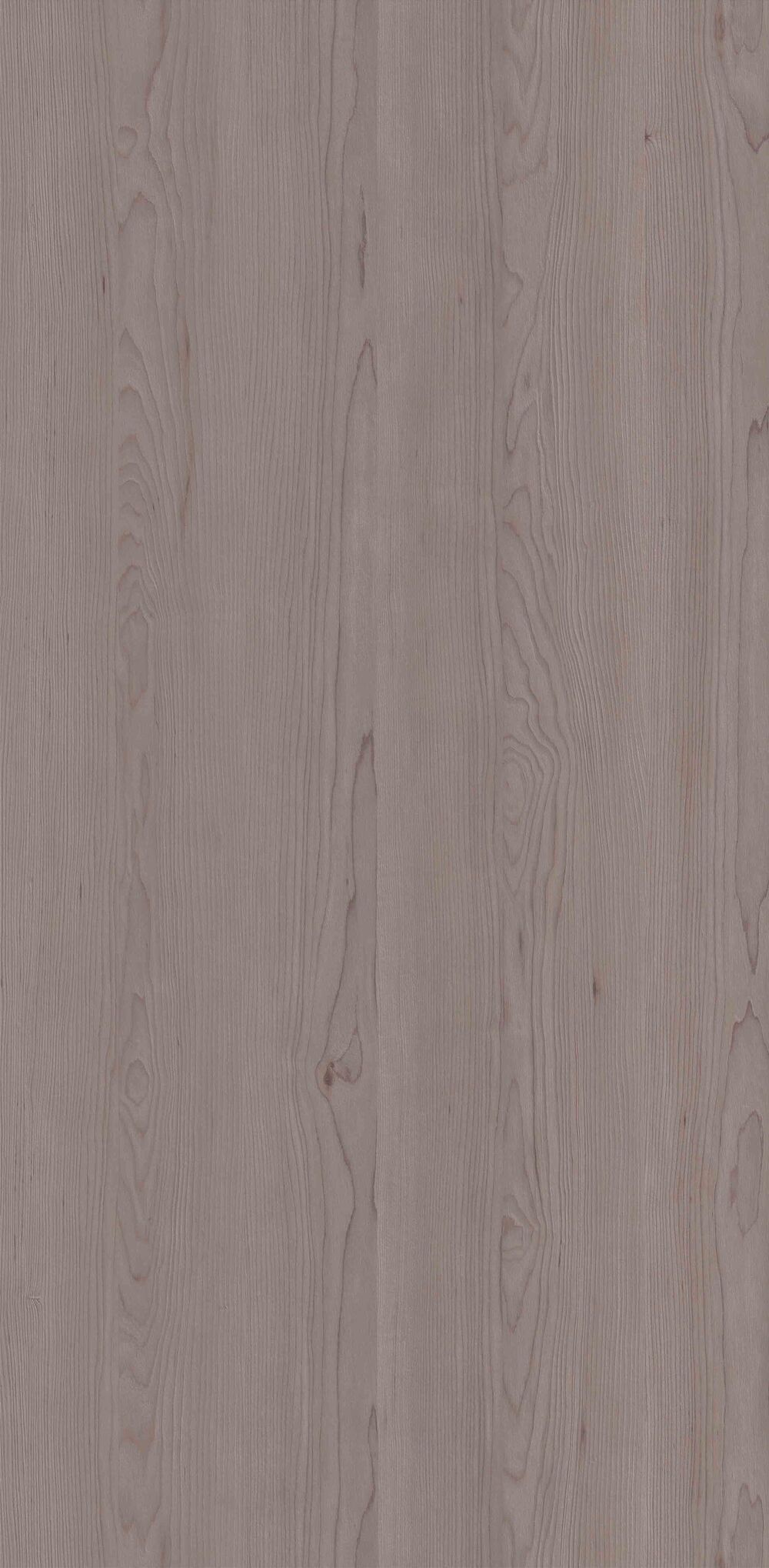 YDHTB1123 魁北克楓木 