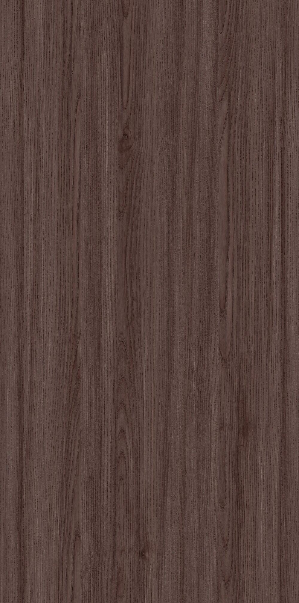 YDHTB1134 克里特橄欖木 