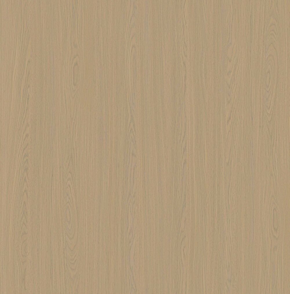 YDHTB1251博洛尼亞橡木