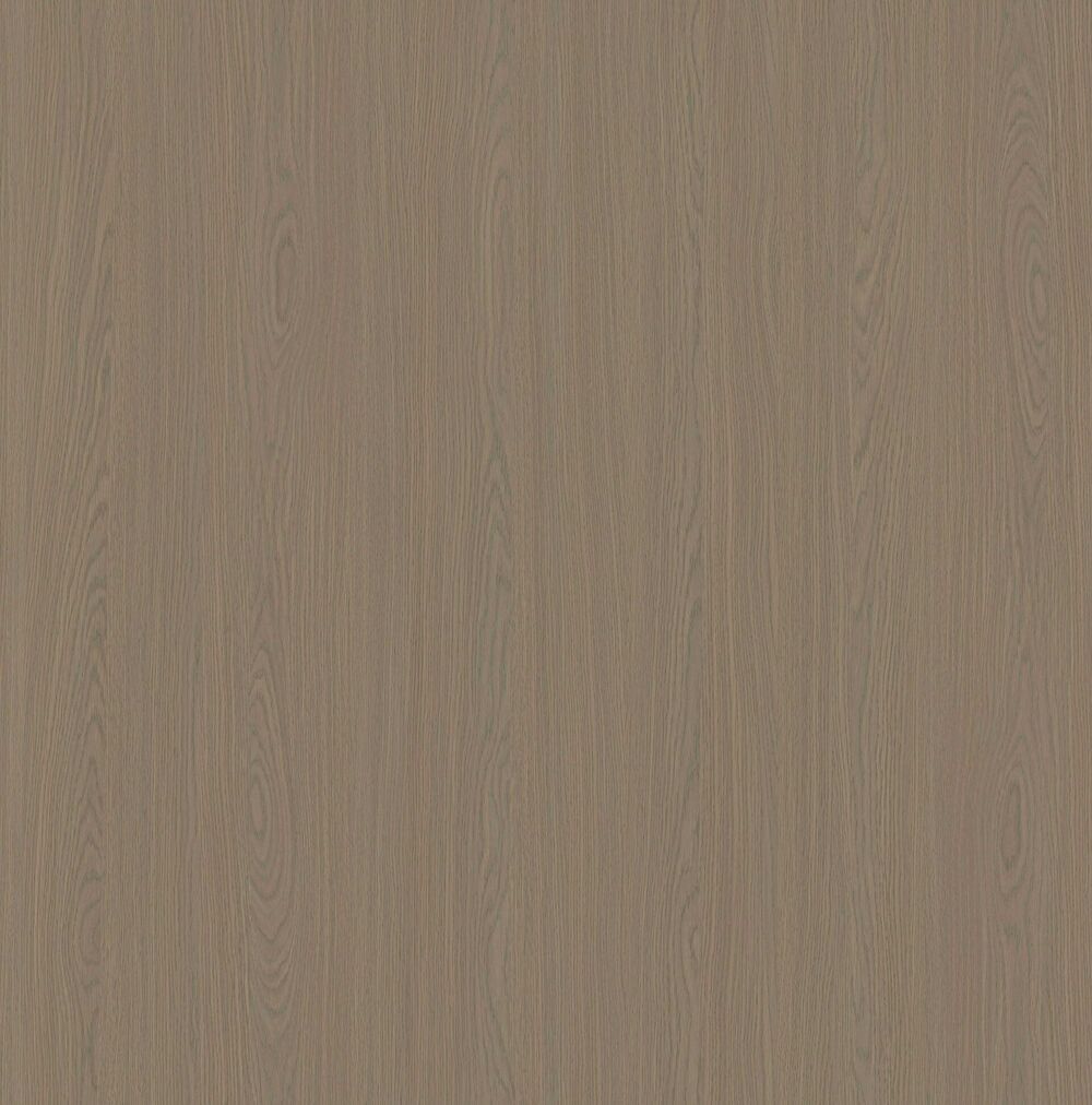 YDHTB1253博洛尼亞橡木