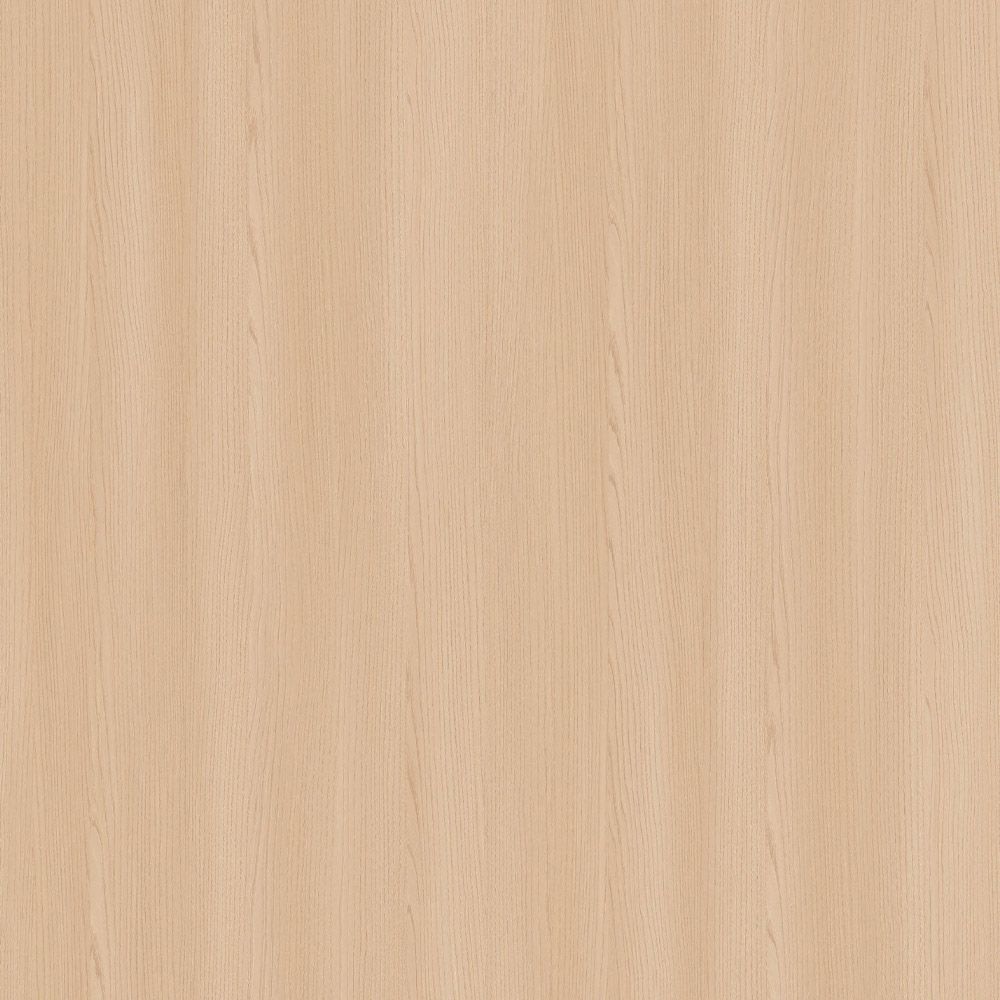 YDHTB1293普利亞榆木