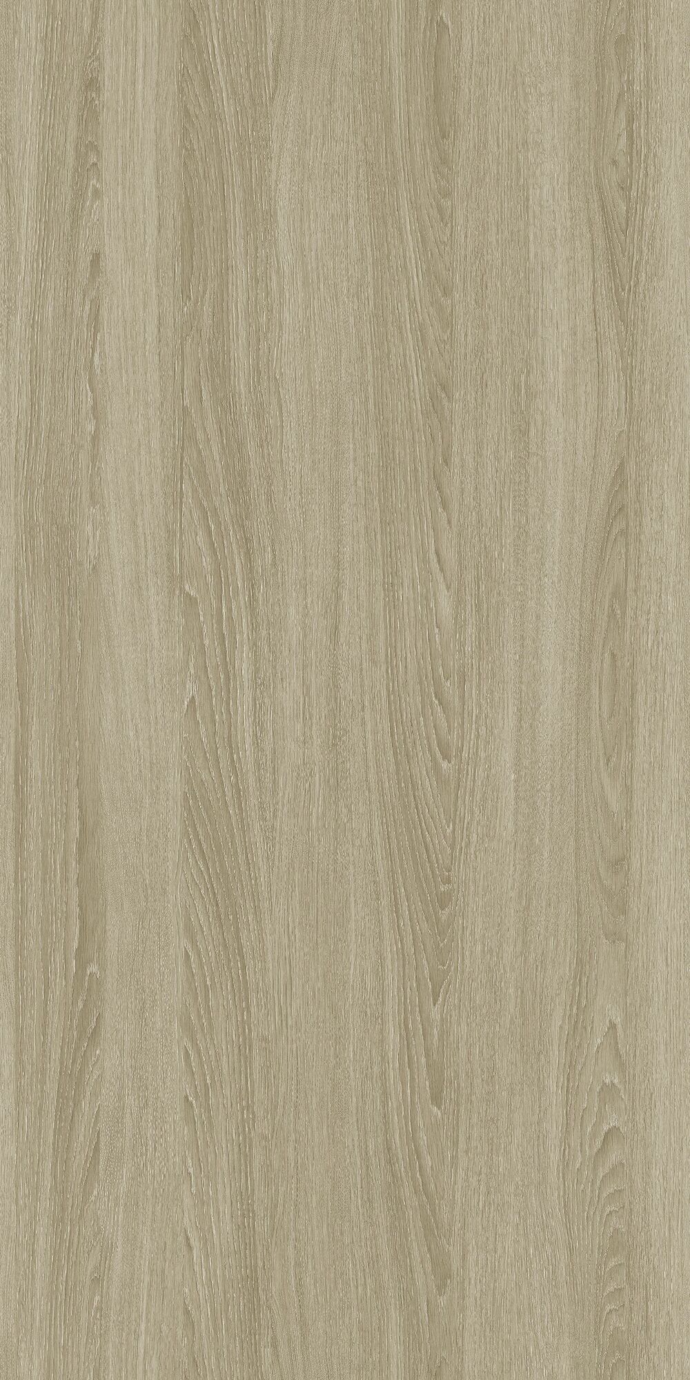 YDH547  里澤橡木  