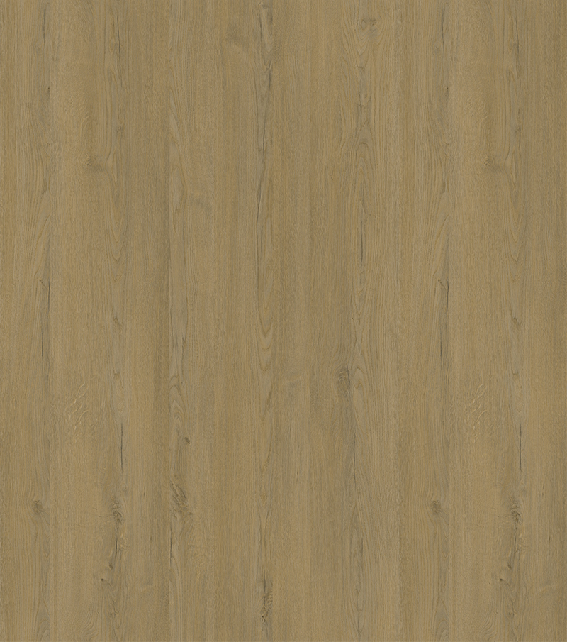 YDHTB1403 慕尼黑橡木